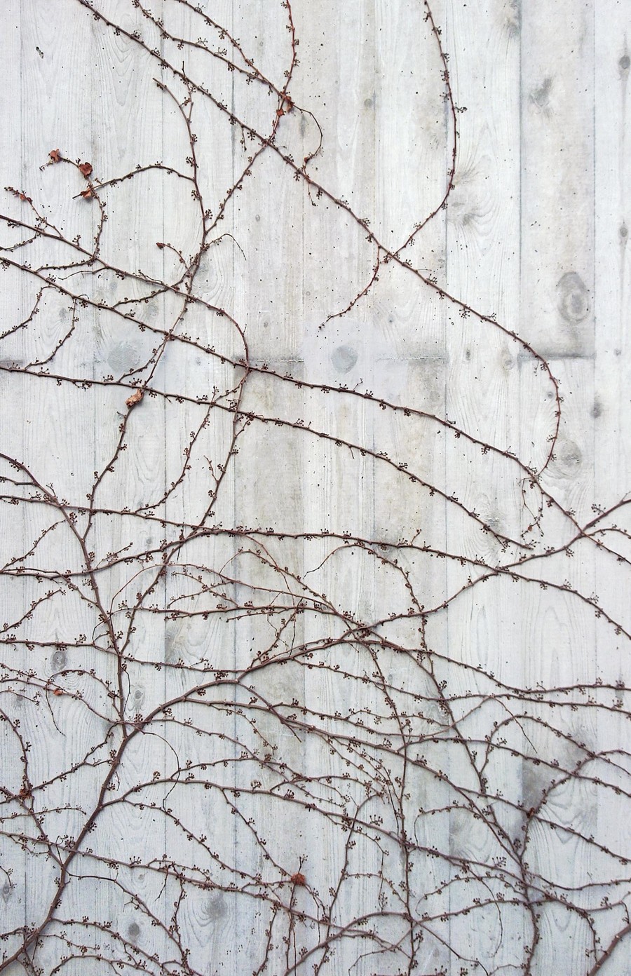 VIVIENDA SOTO DEL REAL 