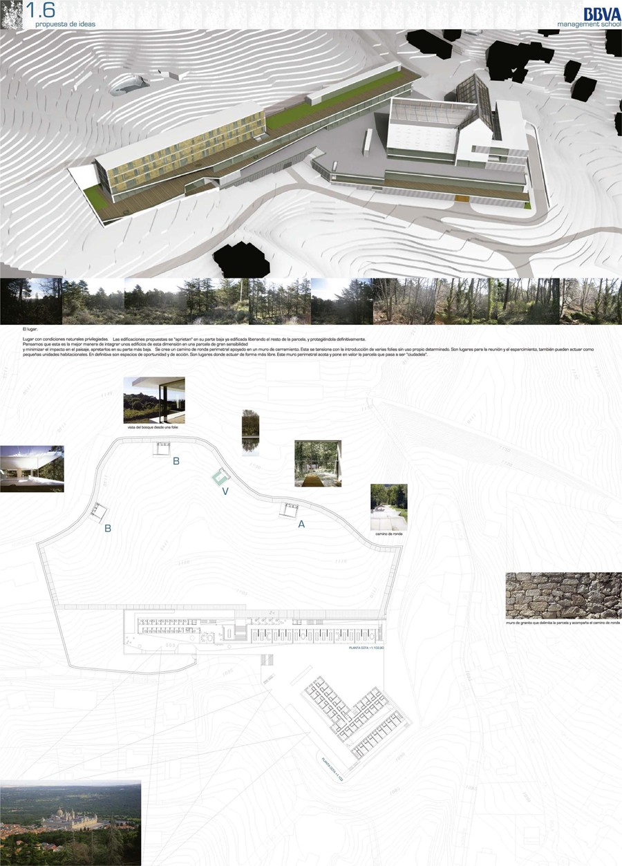 BBVA MANAGEMENT SCHOOL  