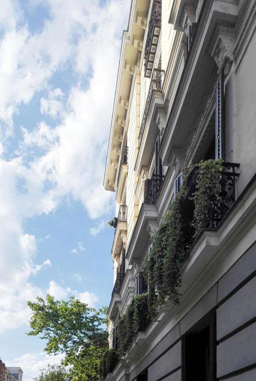 EDIFICIO C/ANTONIO MAURA 14