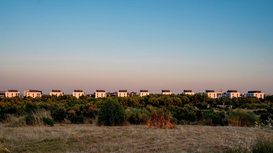 PLAN VIVE VALDEBEBAS