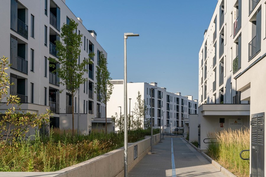 PLAN VIVE ESPARTALES NORTE