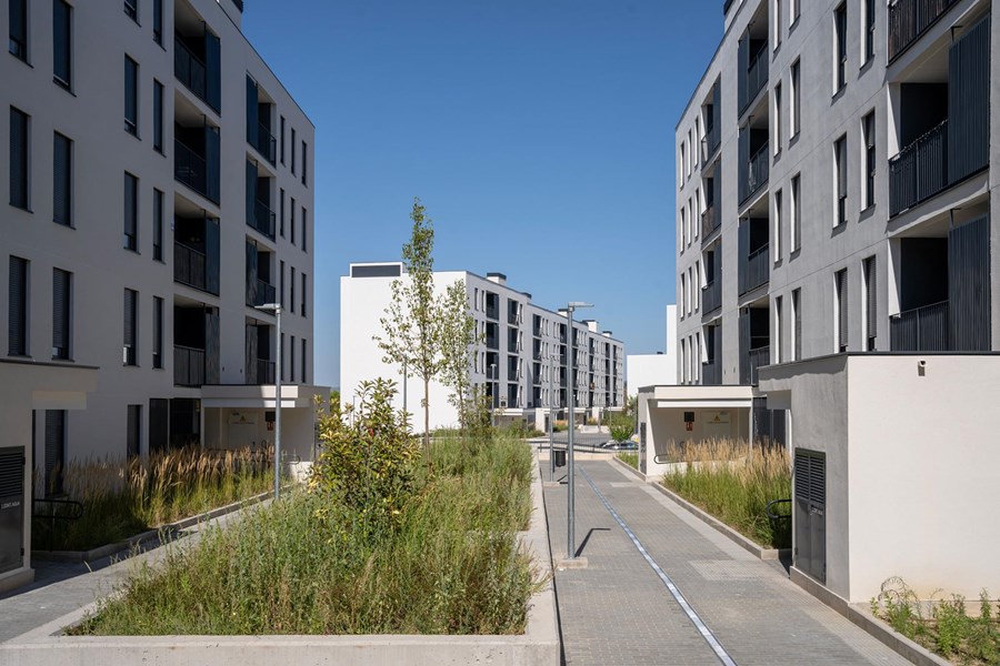 PLAN VIVE ESPARTALES NORTE