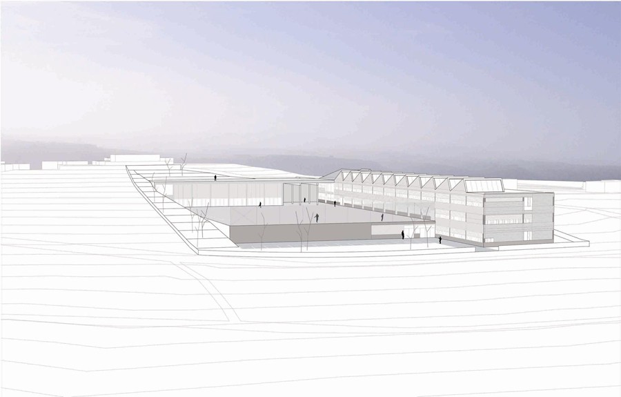 C. ENSEÑANZA EN SUANCES  